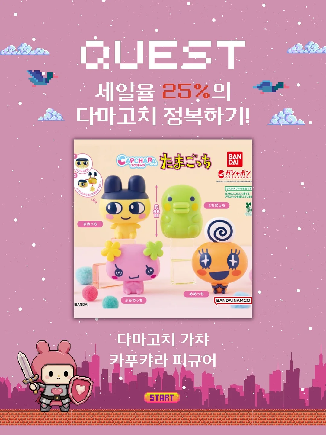 광주 카네이션 앙금쿠키 6