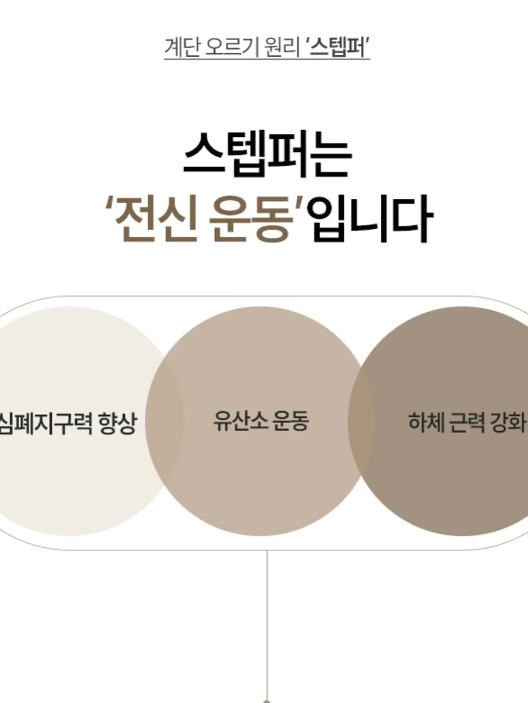 광채 피부 4