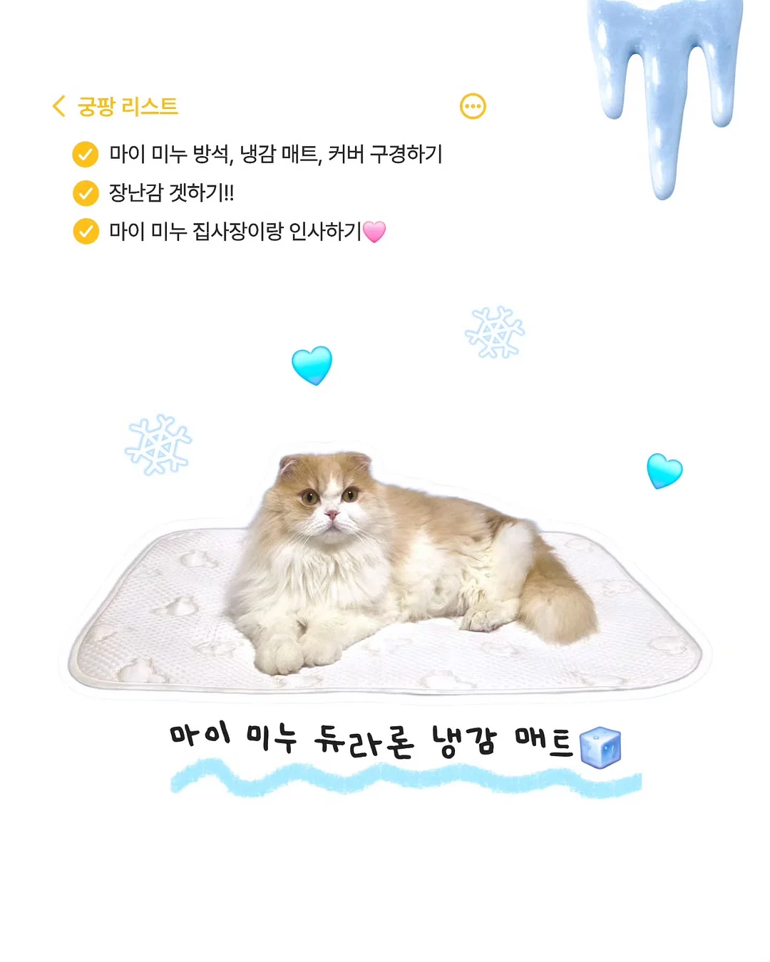누누 여름 신상 팬츠 3