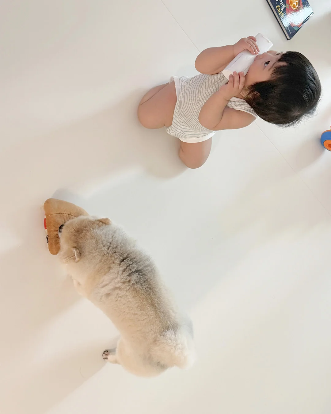 향기나무 3