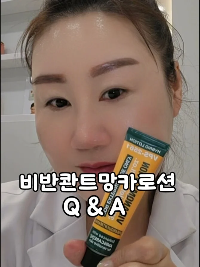 양상추 1