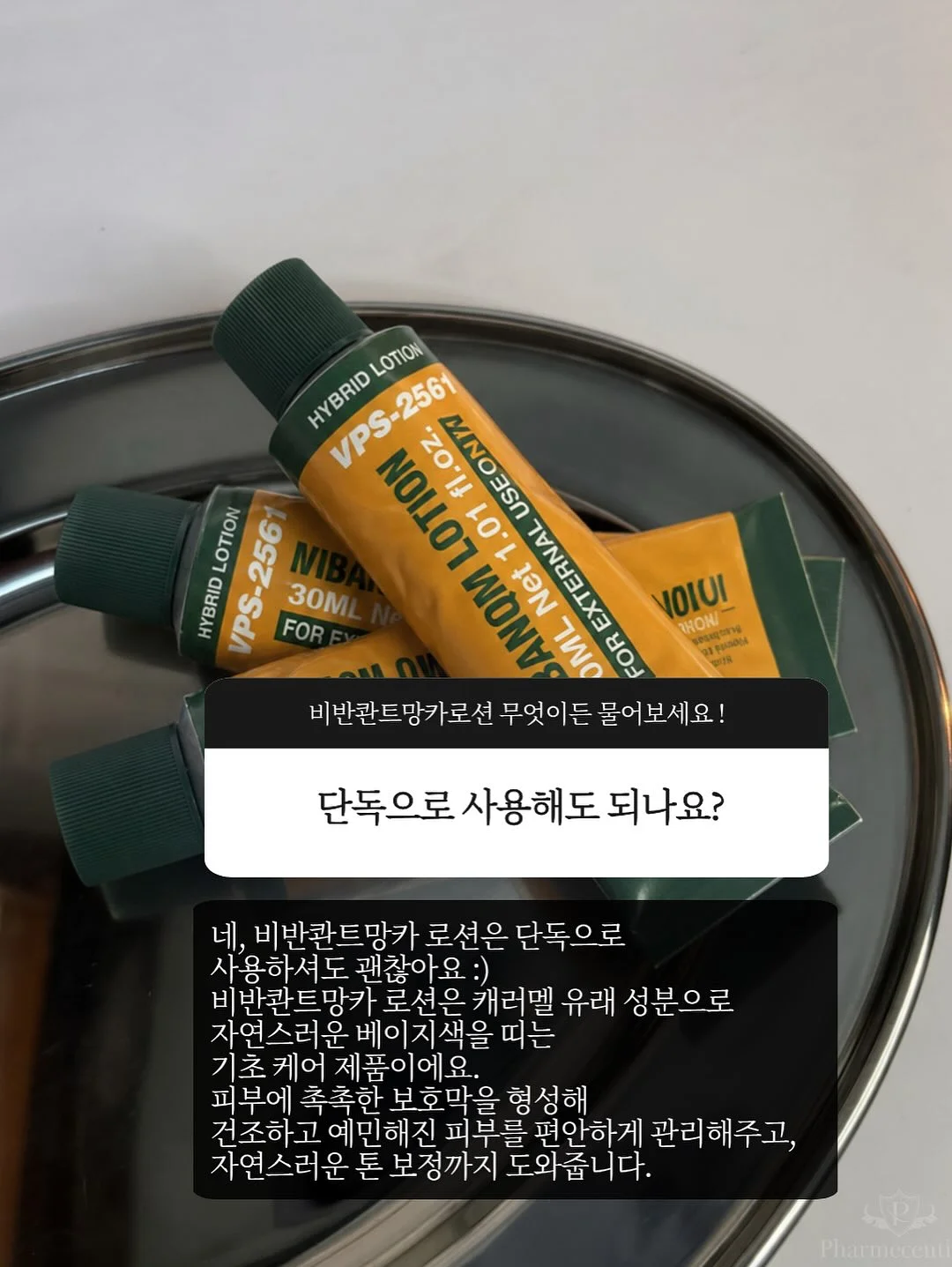 양상추 4