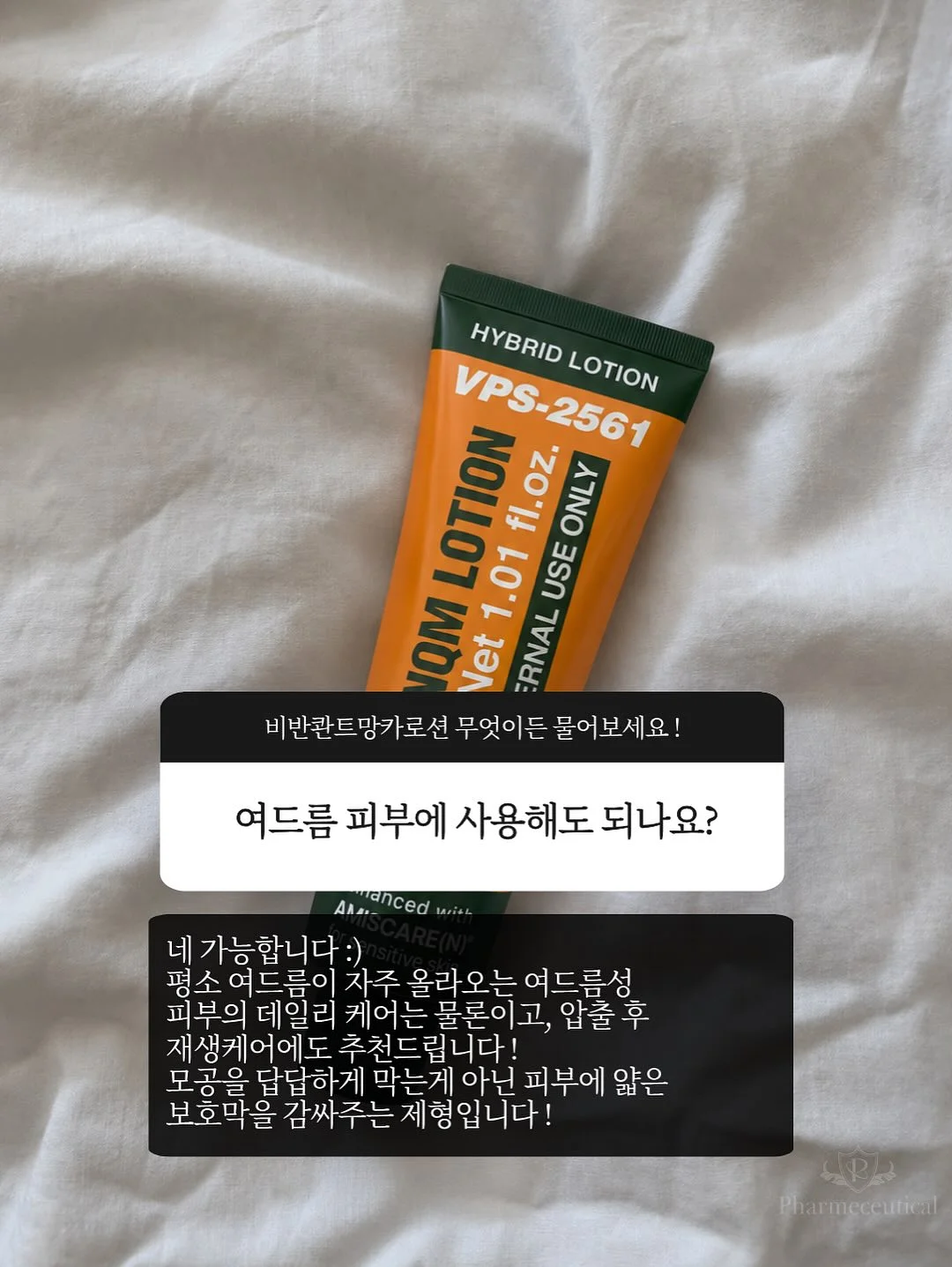 양상추 6