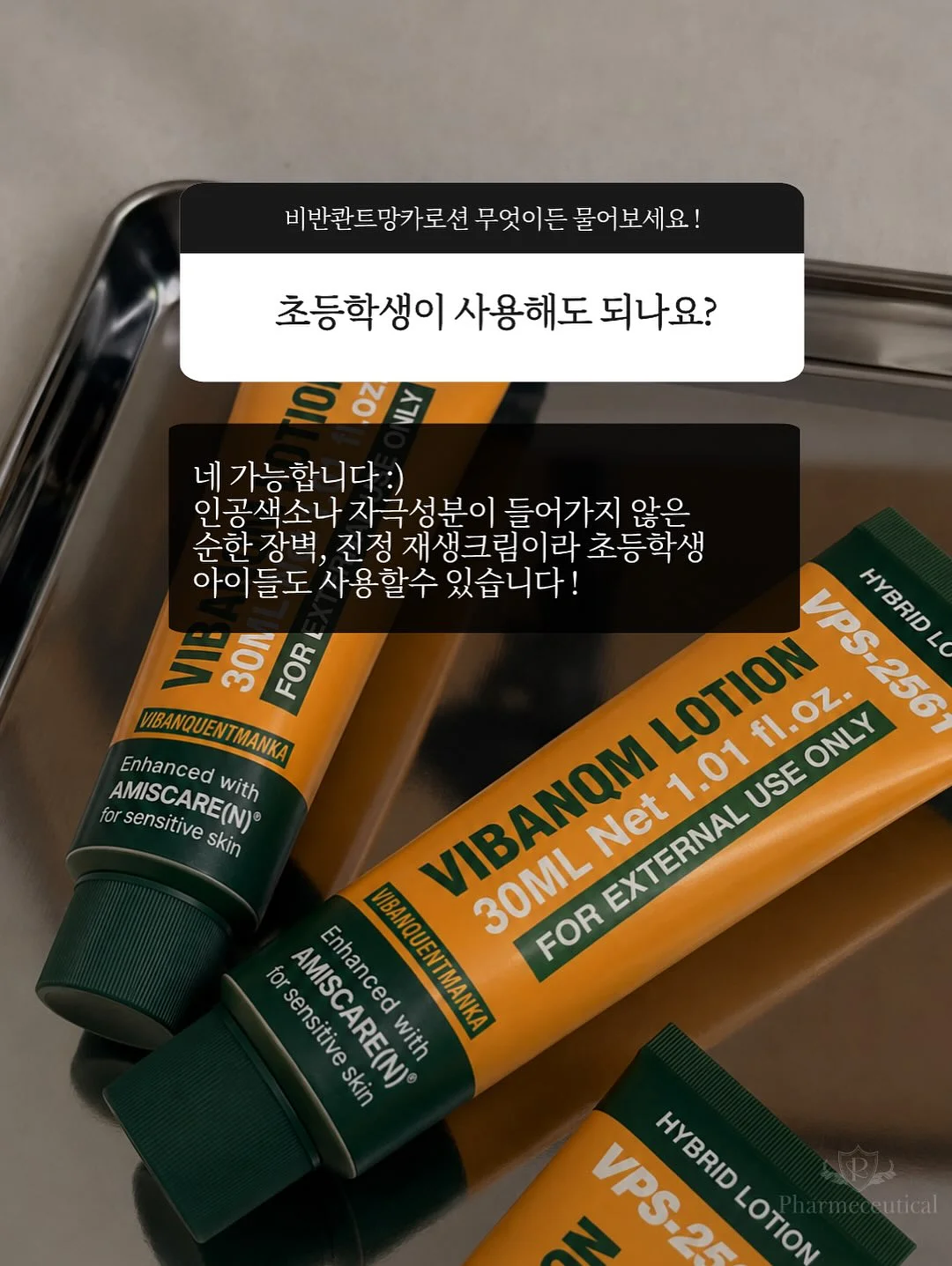 양상추 8