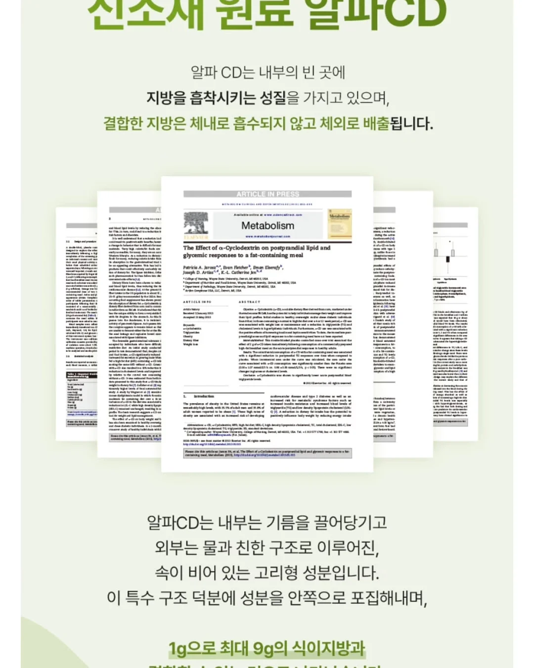 찹찹나시세트 12