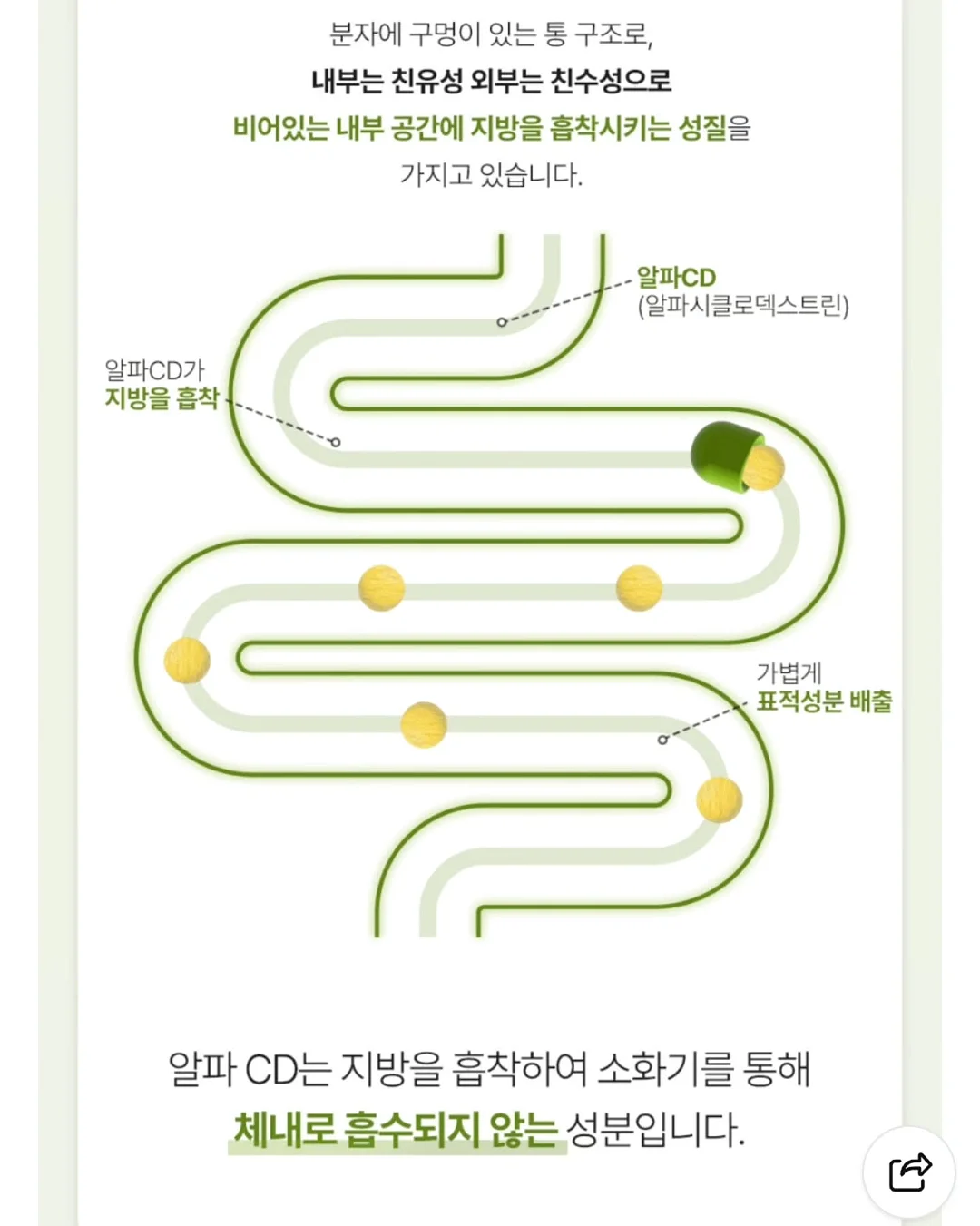 찹찹나시세트 14