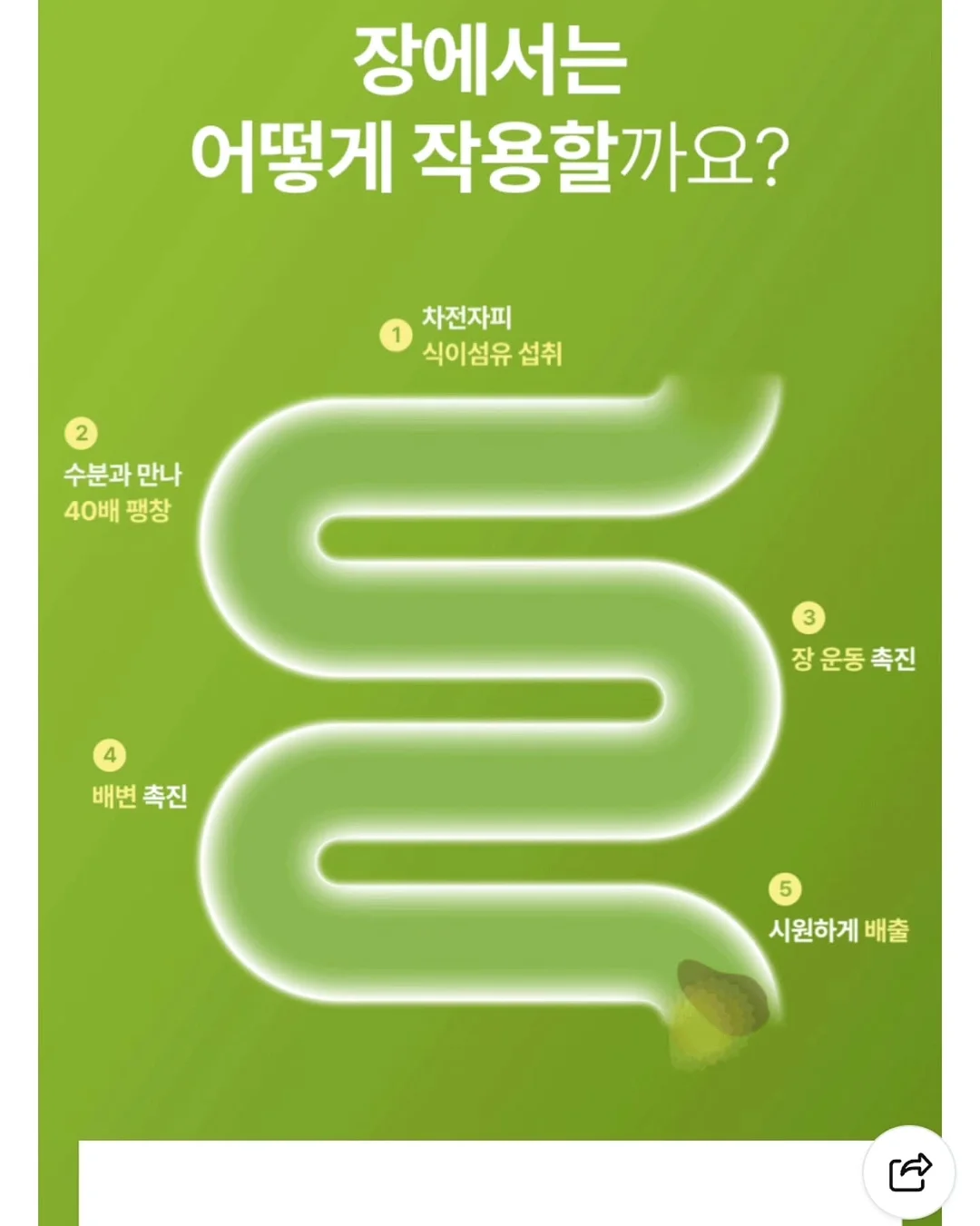 찹찹나시세트 9