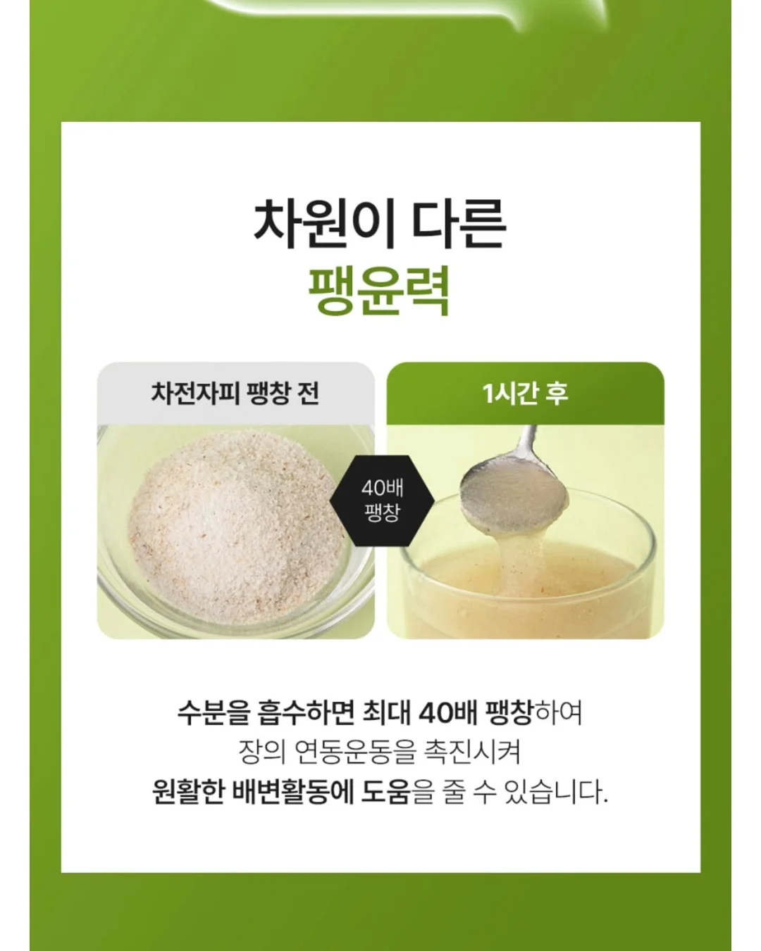 찹찹나시세트 10