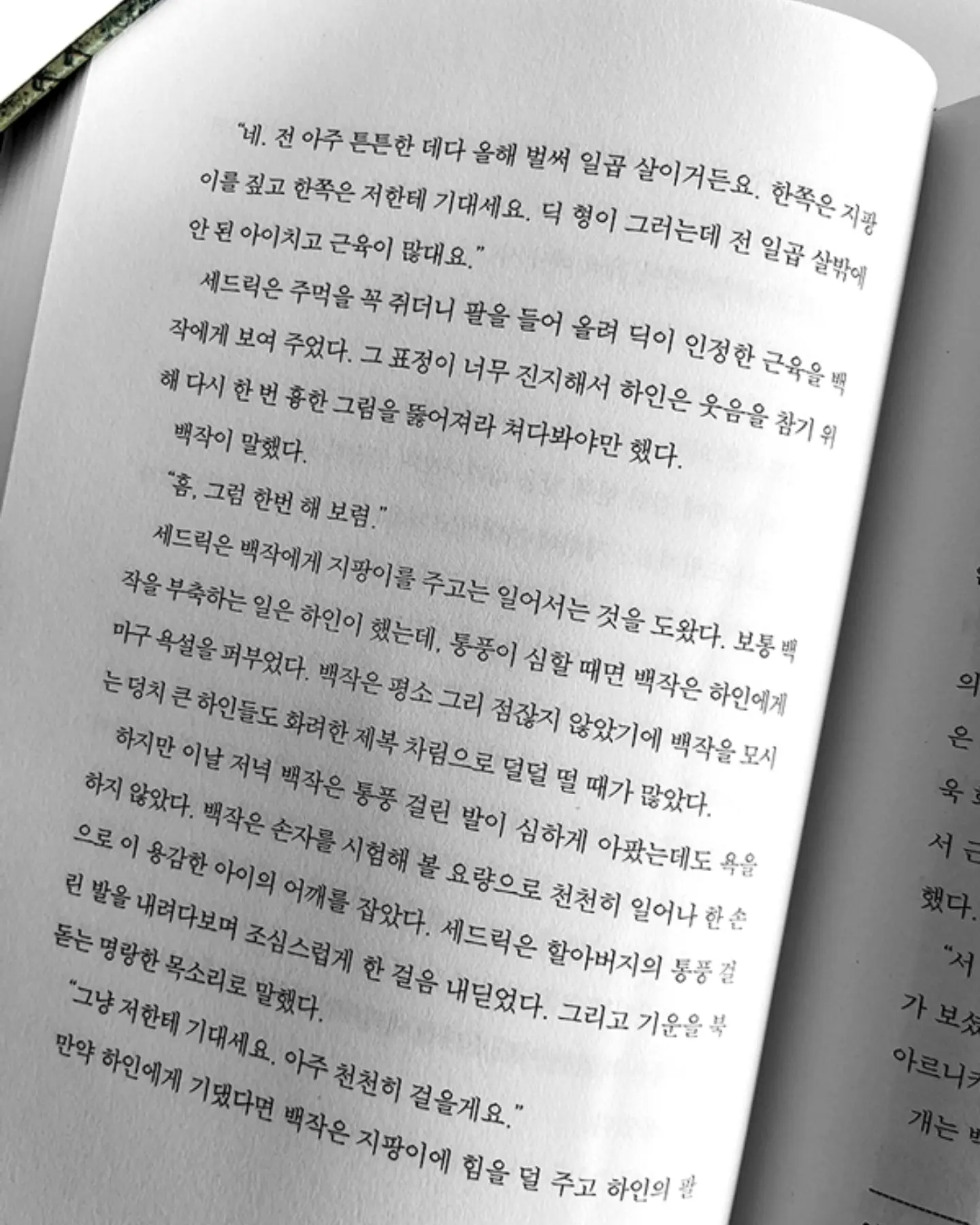 규슈 패키지 11