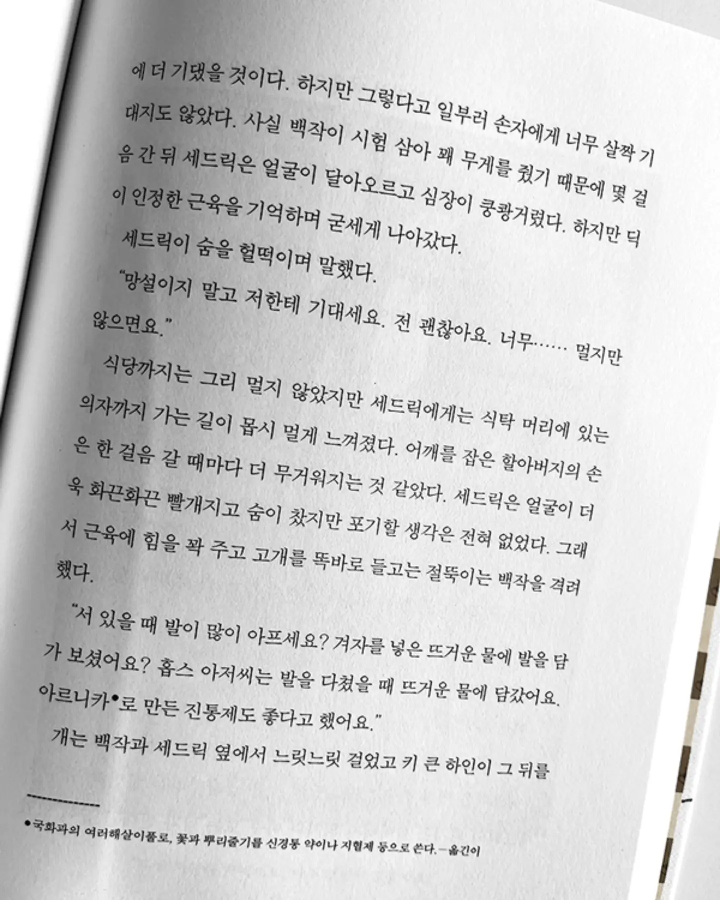규슈 패키지 12