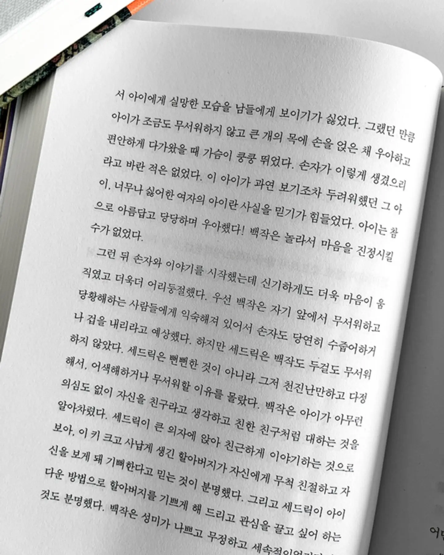 규슈 패키지 7
