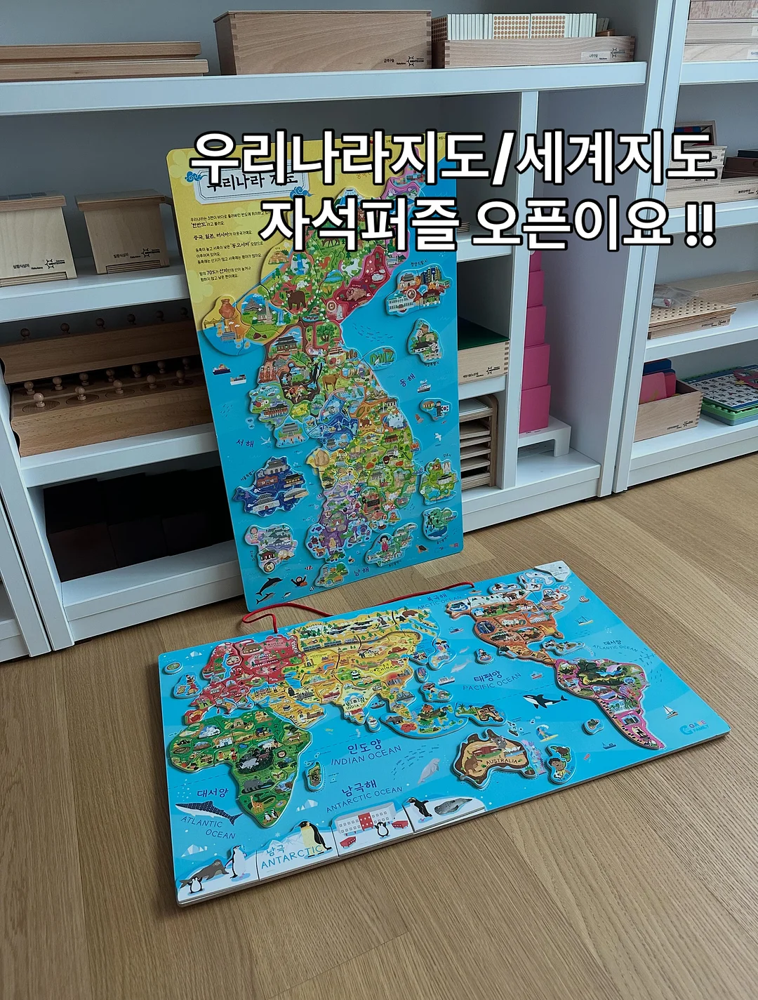 제주 한치 / 초코오징어 1