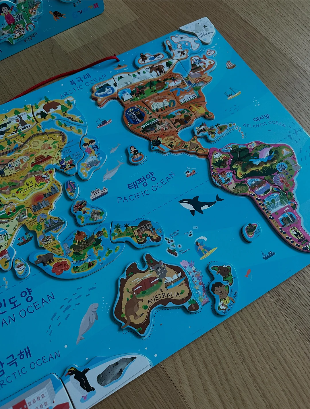 제주 한치 / 초코오징어 3