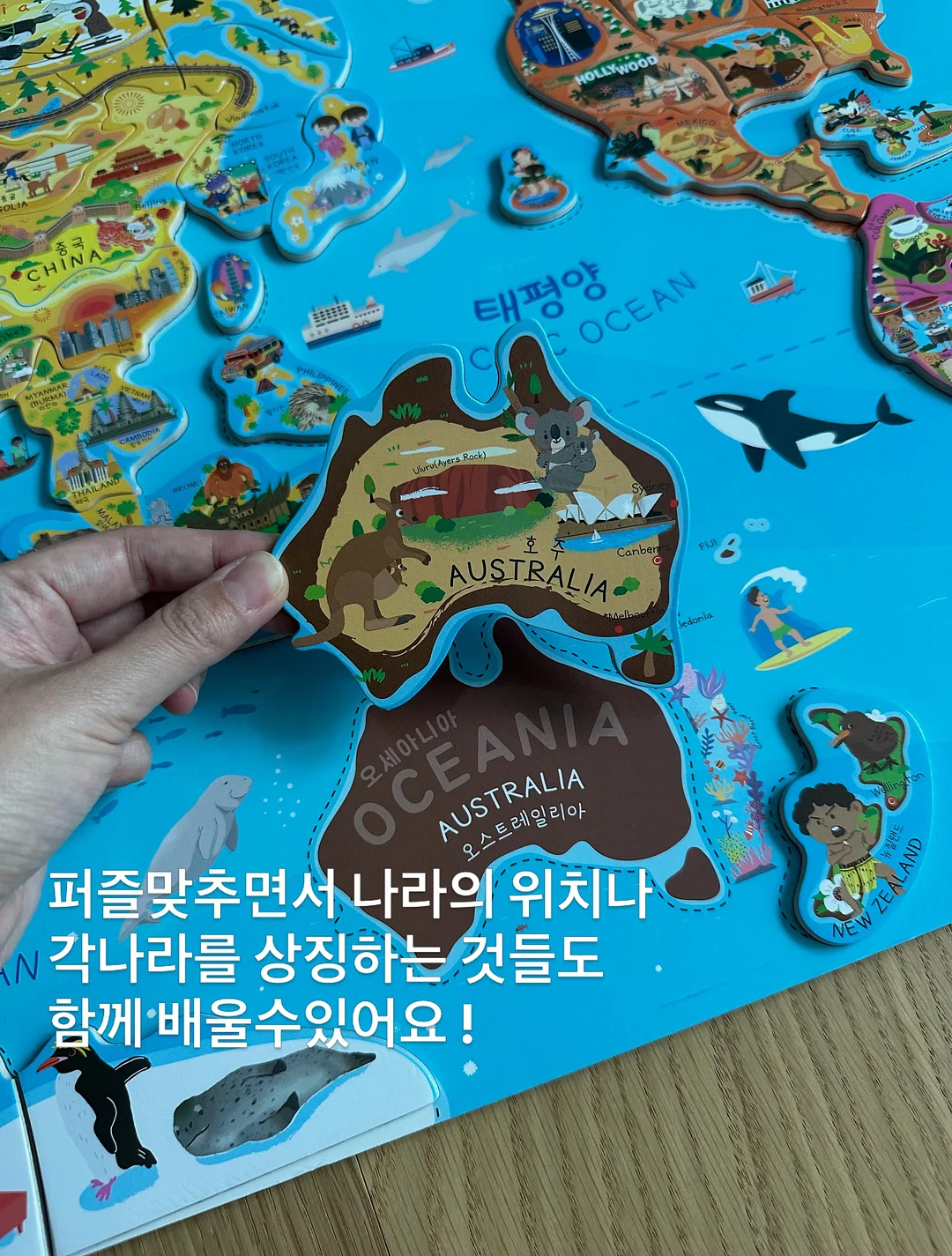 제주 한치 / 초코오징어 5