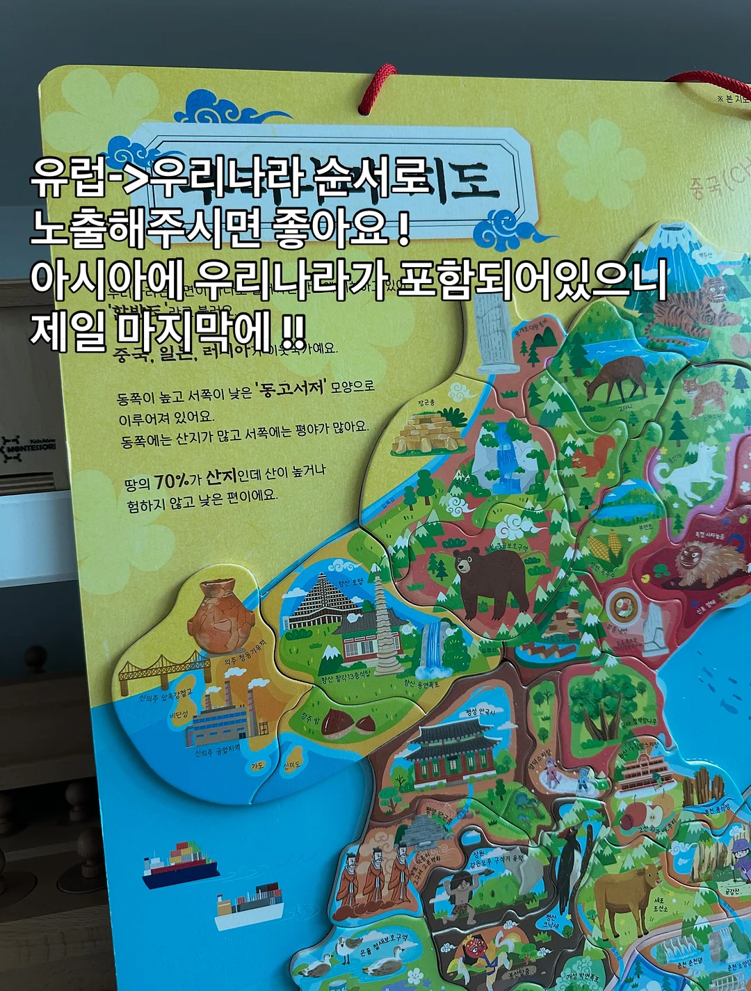 제주 한치 / 초코오징어 8