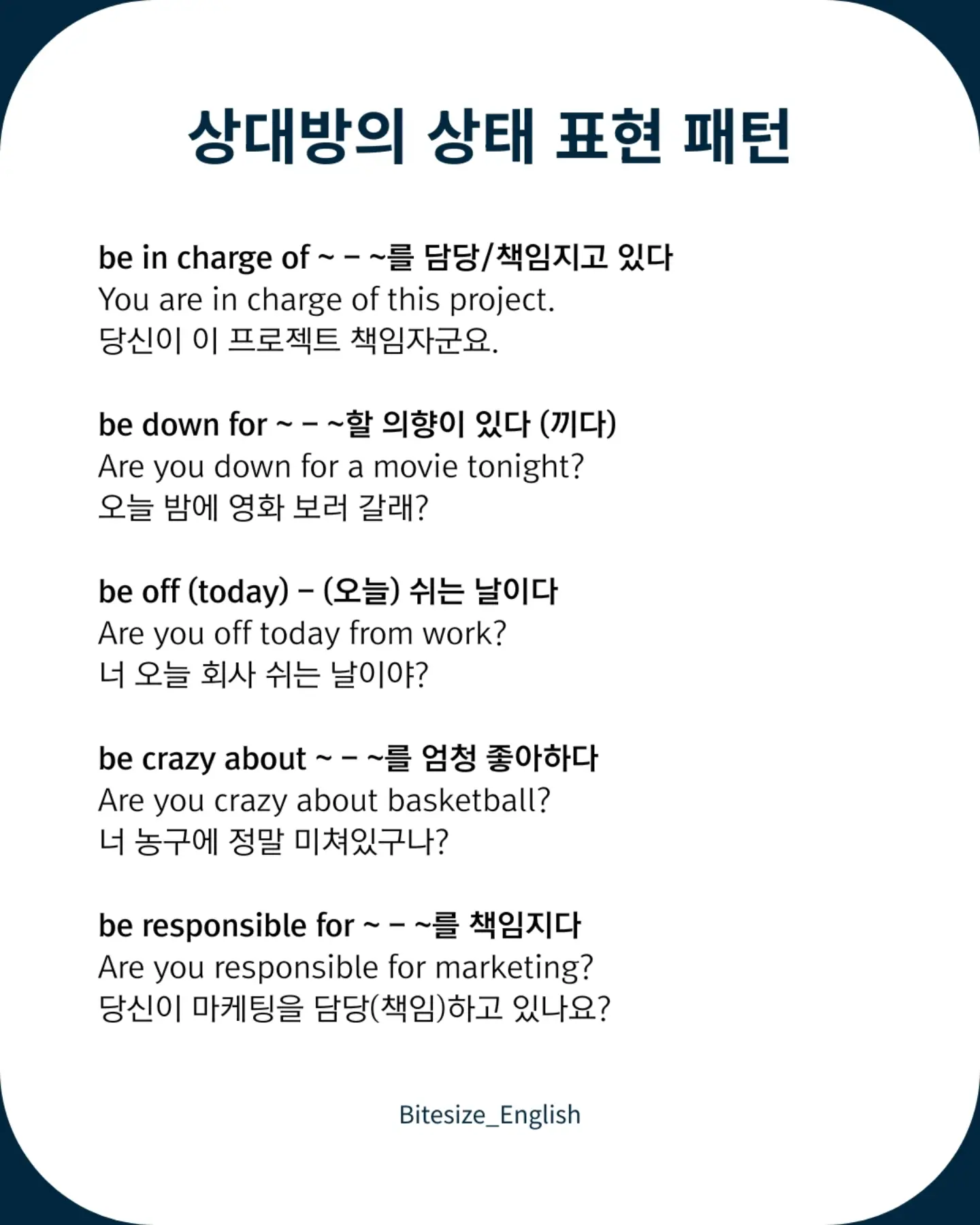 HALO 시뮬럿 다이아 컬렉션 8