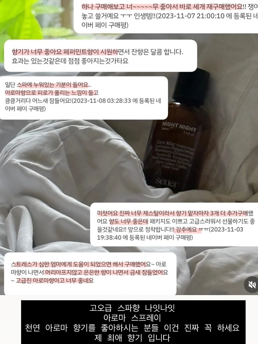 햇다시마 9