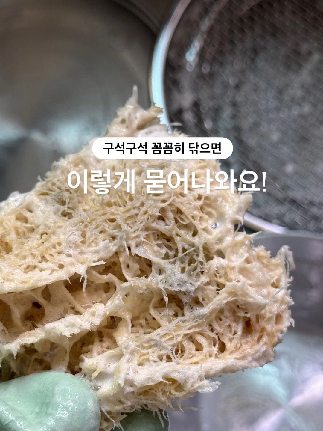 카프리팬츠 5