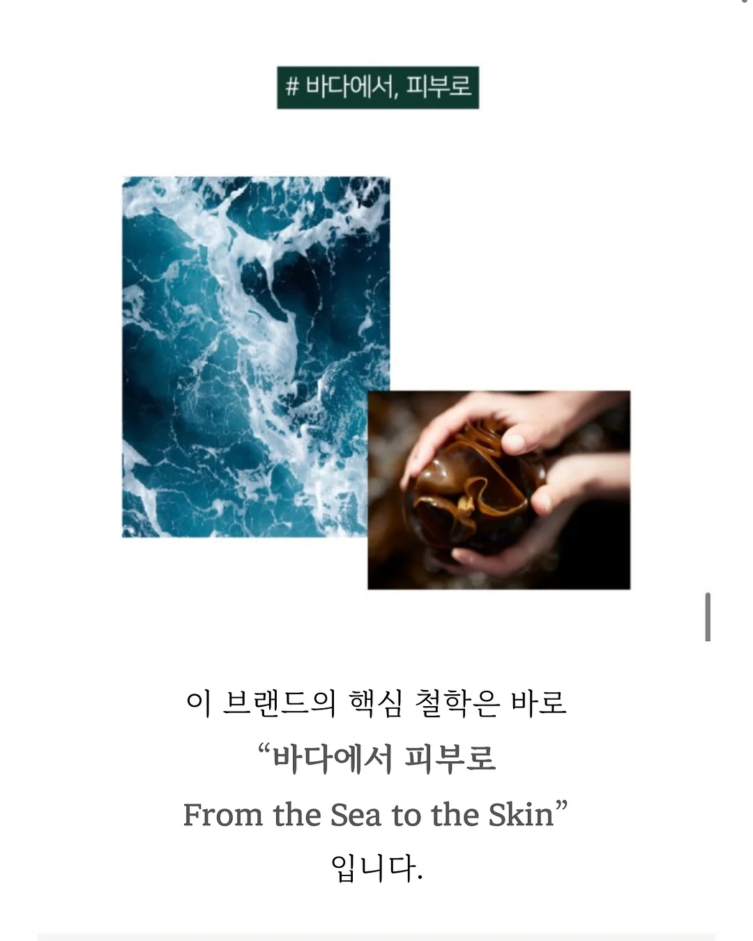 트레이박스 8