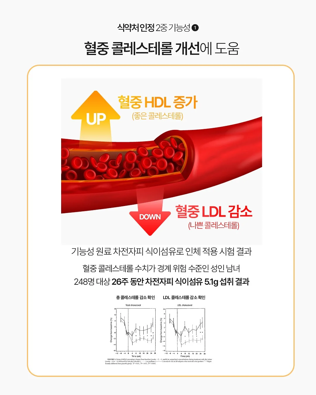 노션AI 영상 제작 11