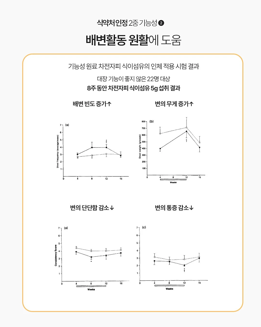 노션AI 영상 제작 12