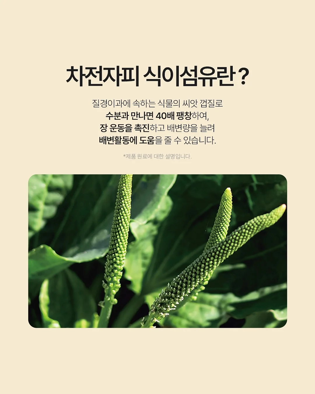 노션AI 영상 제작 8