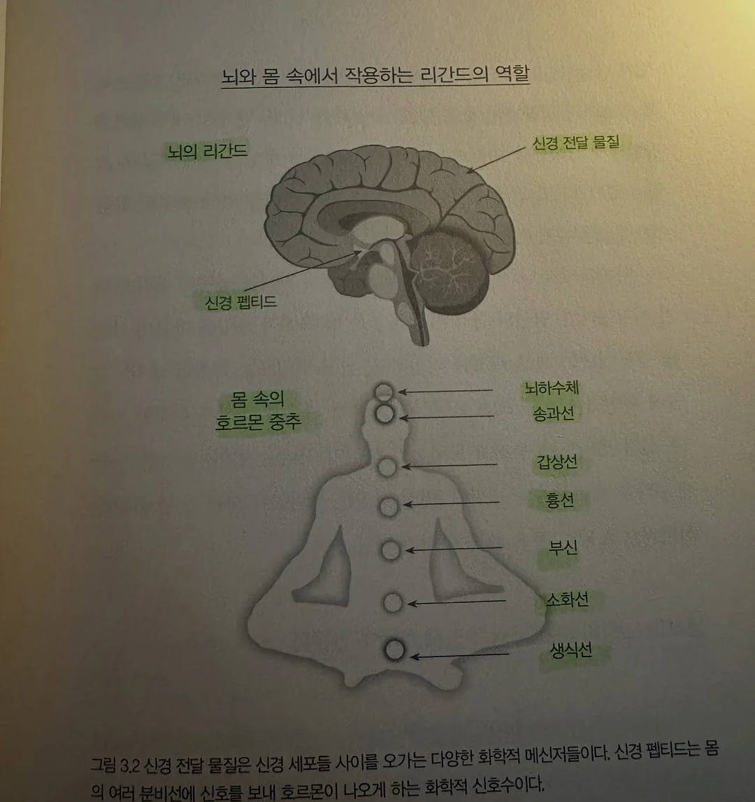 아쿠아 스프레드 선커버리 12