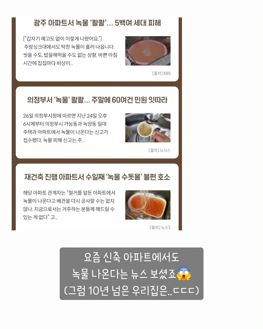 젤리슈즈 커스텀 2