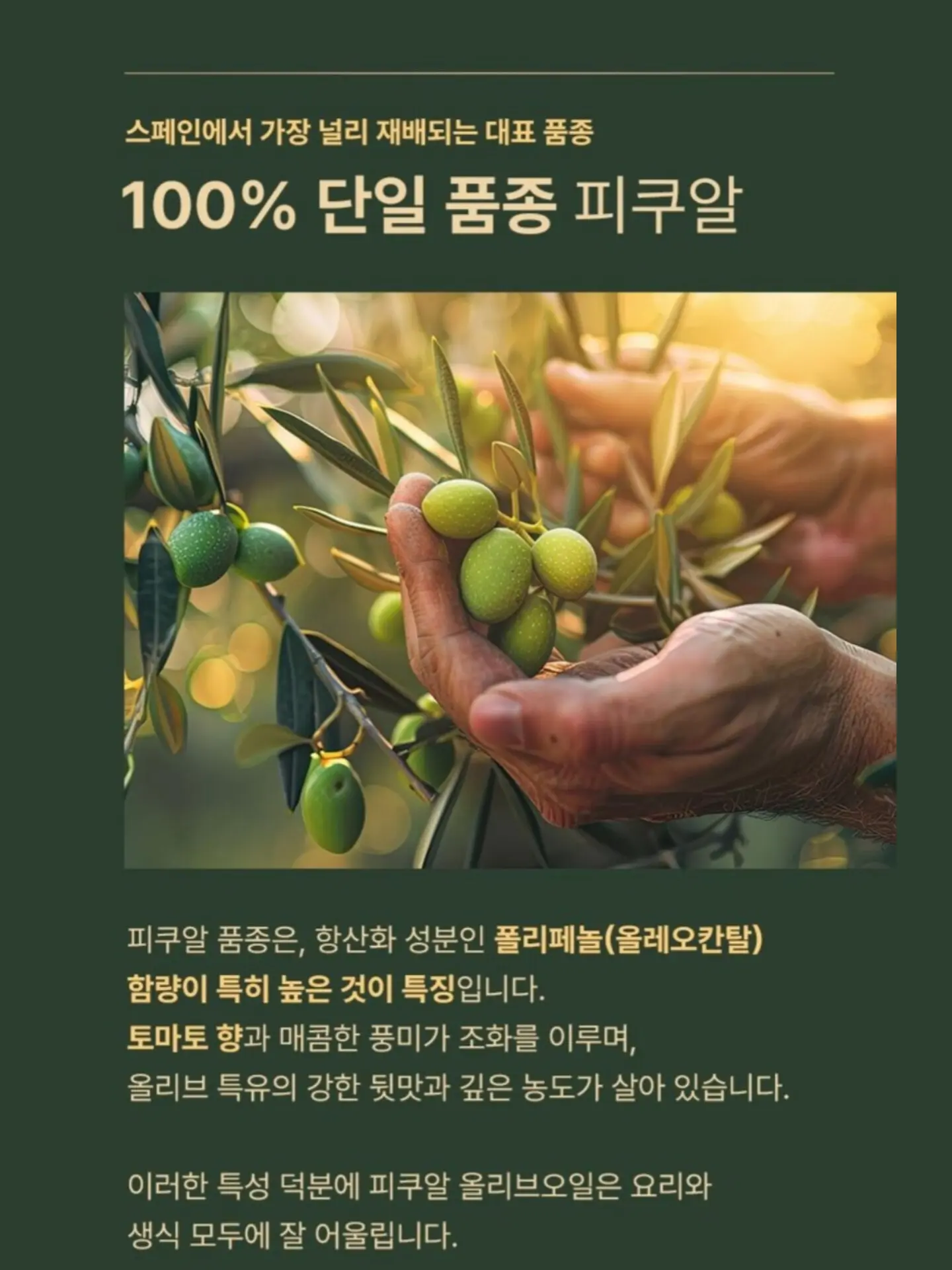 퍼시닌 바디워시 8