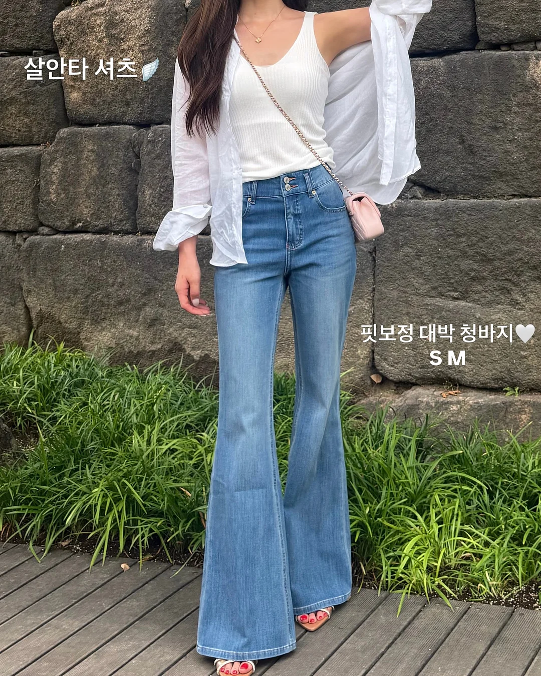 줄기세포 3