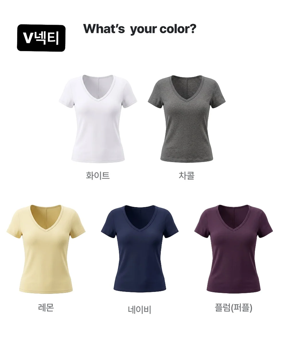 줄기세포 4