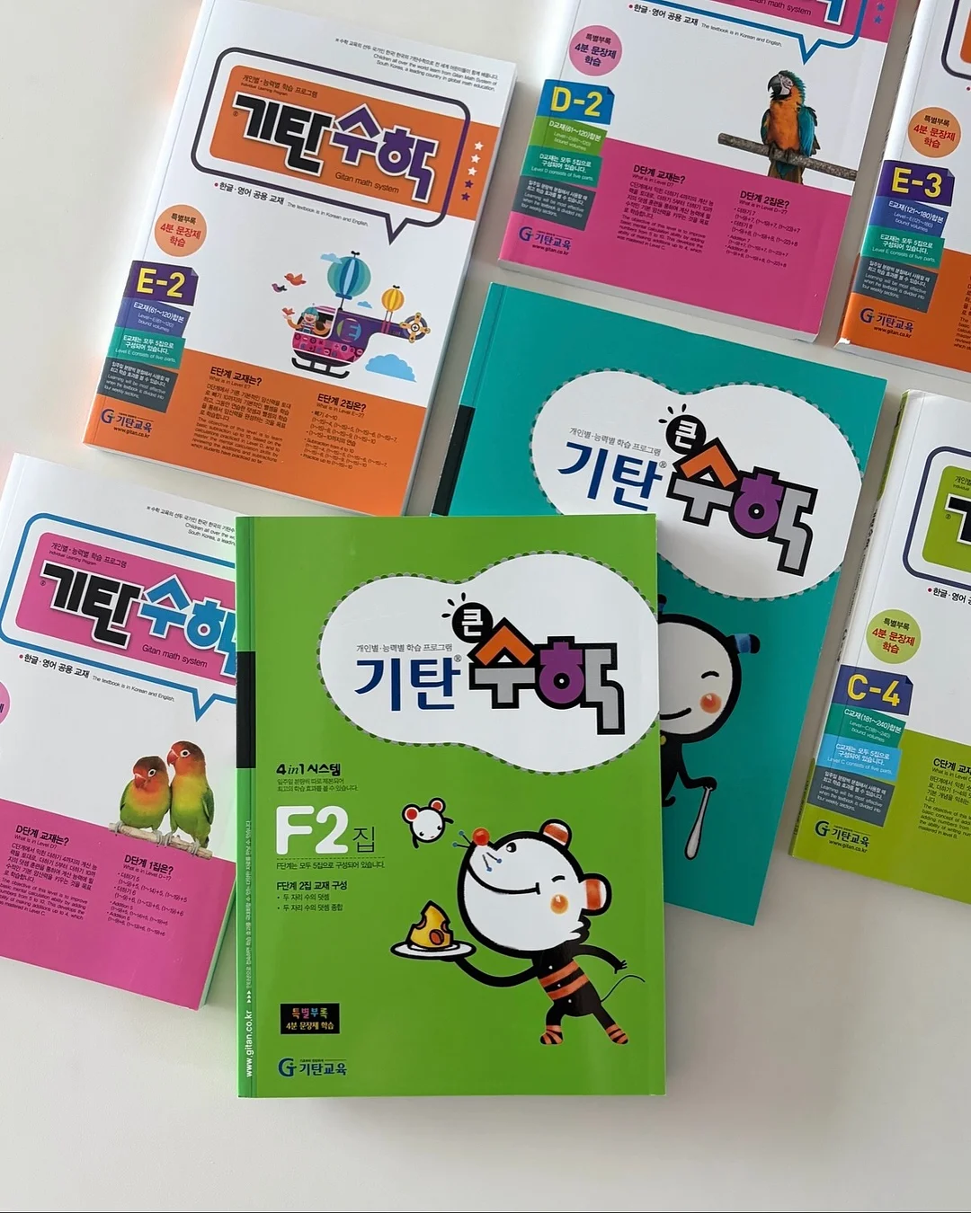 올리브나무 1