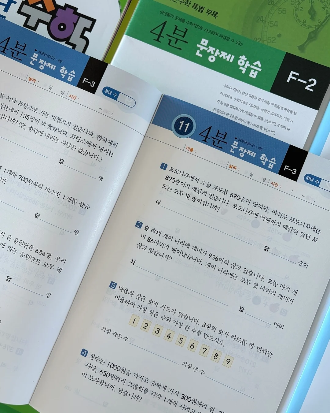 올리브나무 11