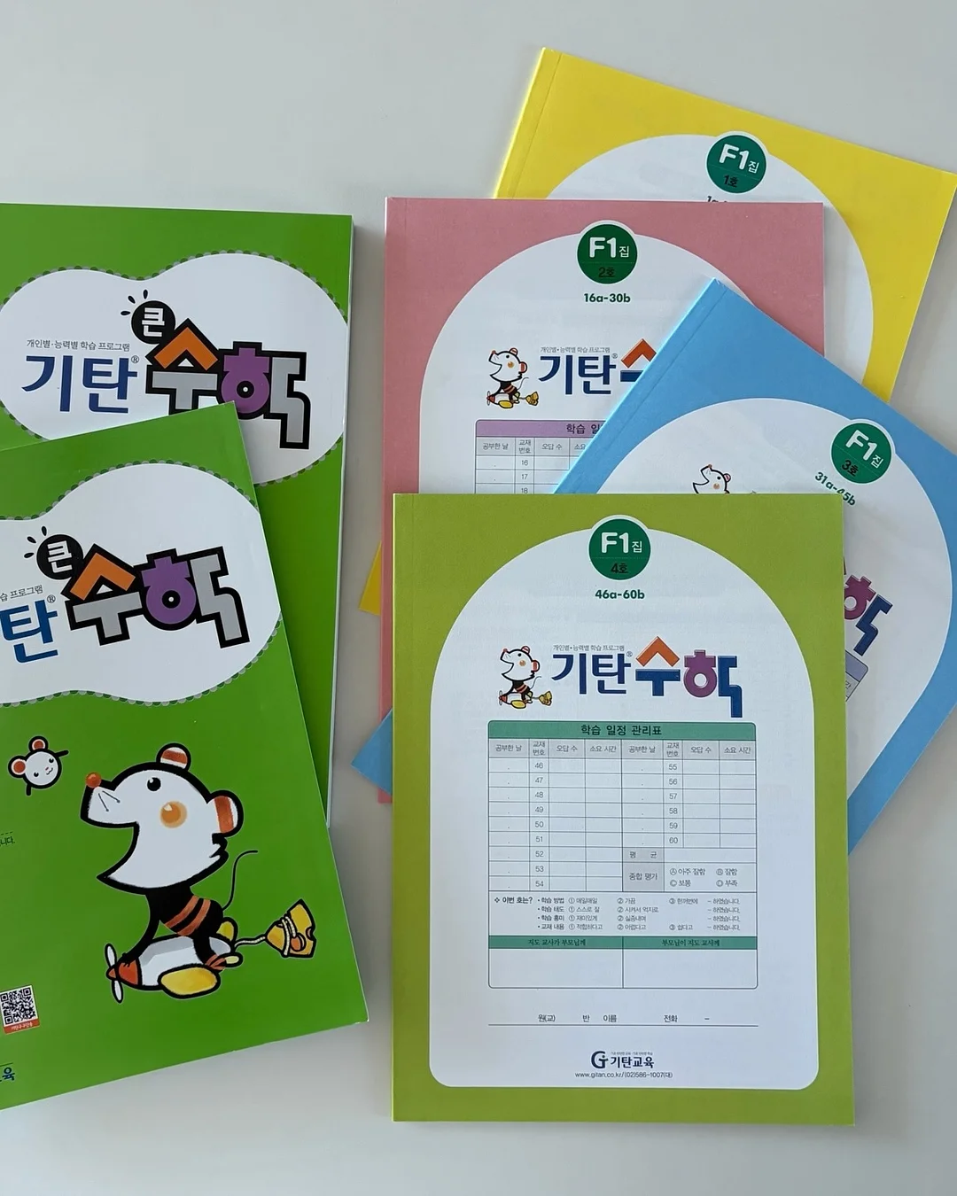 올리브나무 12