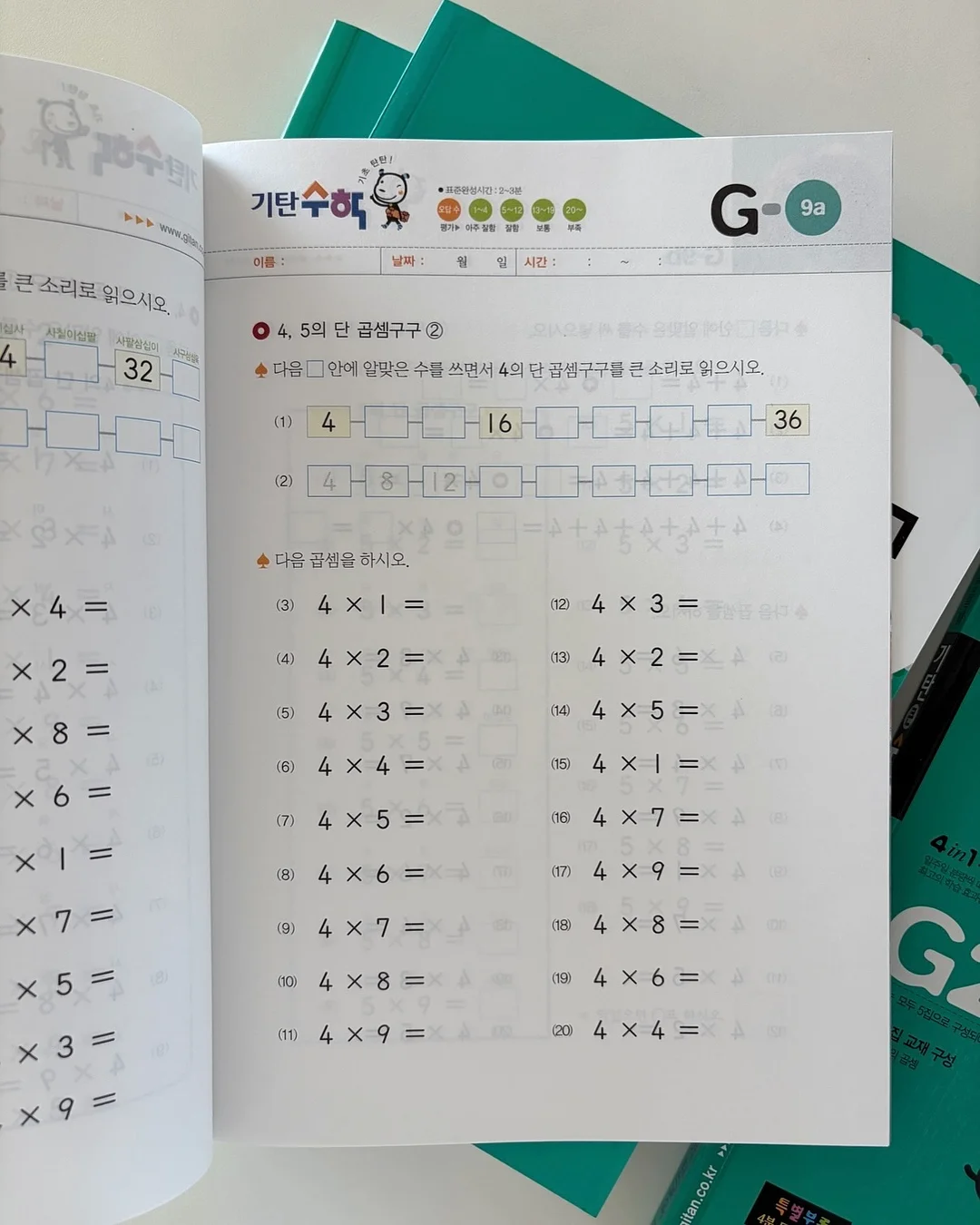 올리브나무 9