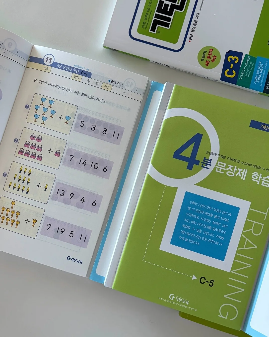 올리브나무 10