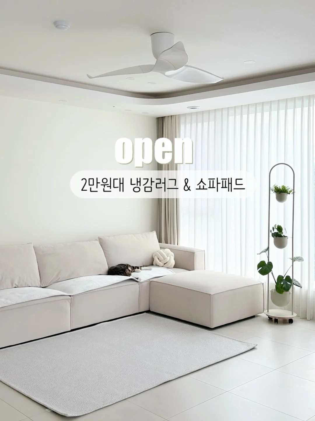 몽고 마늘간장소스 1