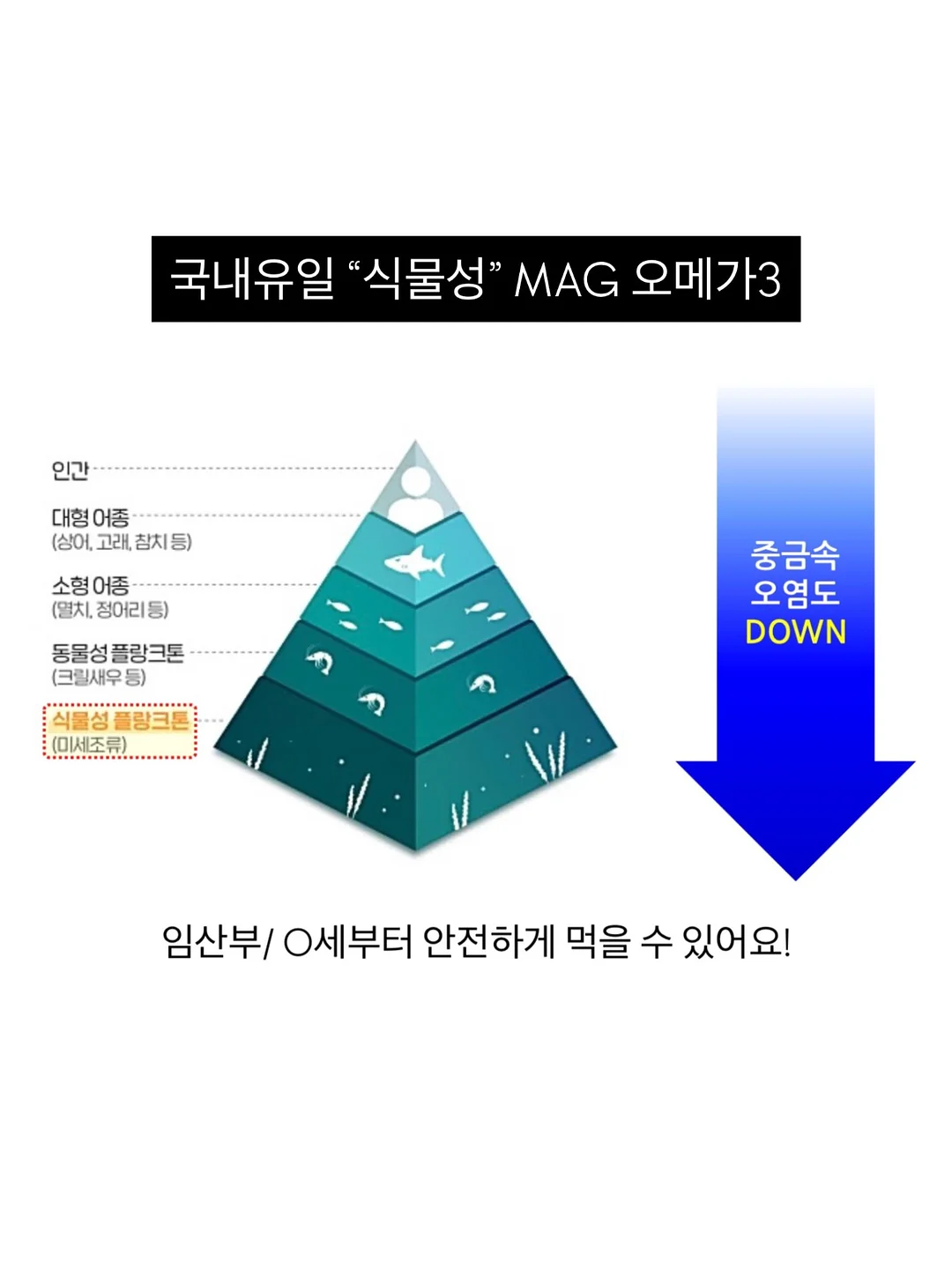 전환율 올리는 지식브랜드 상세페이지 제작 팁 14