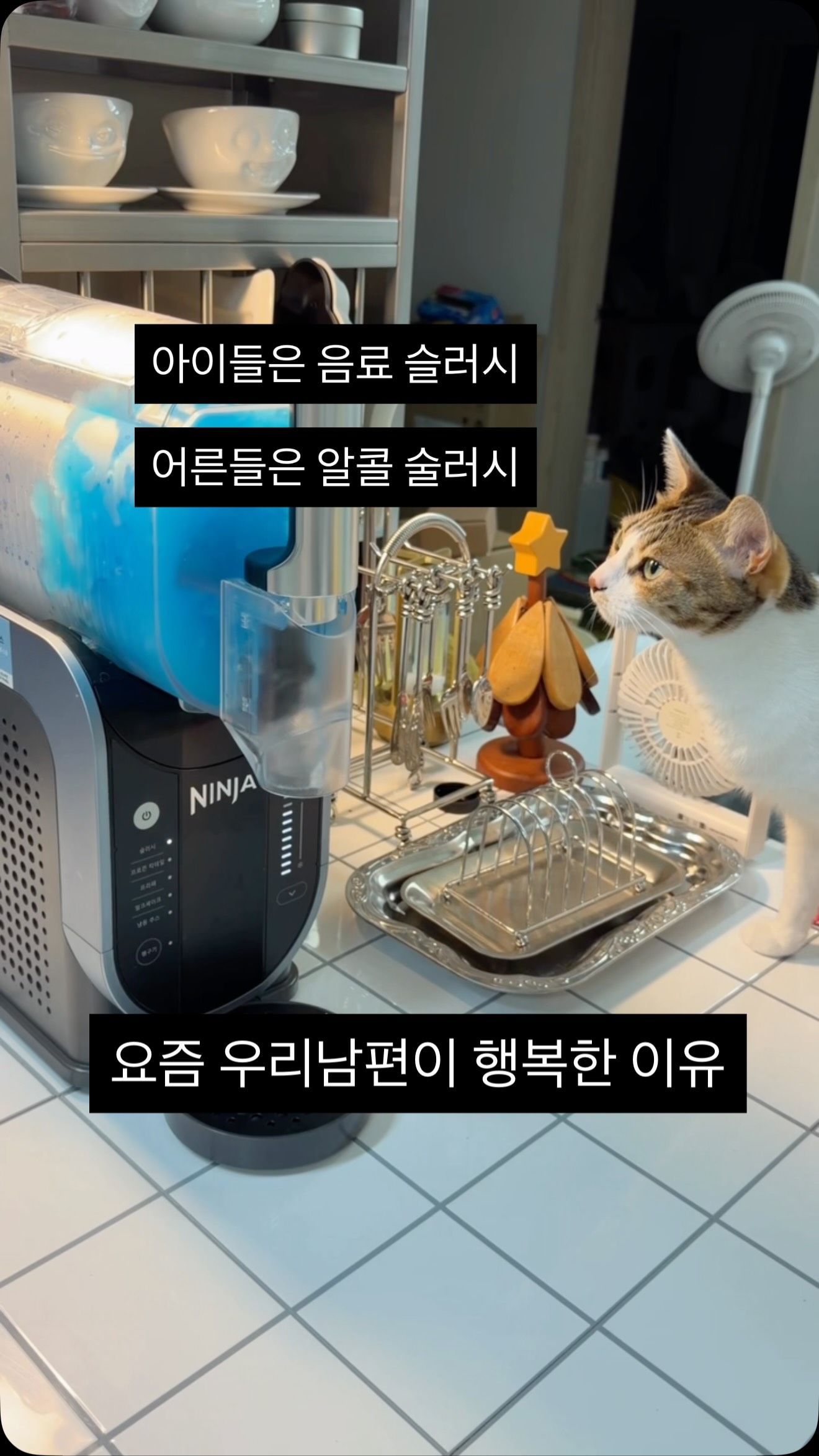 벨기에 사이잘룩 러그 4종