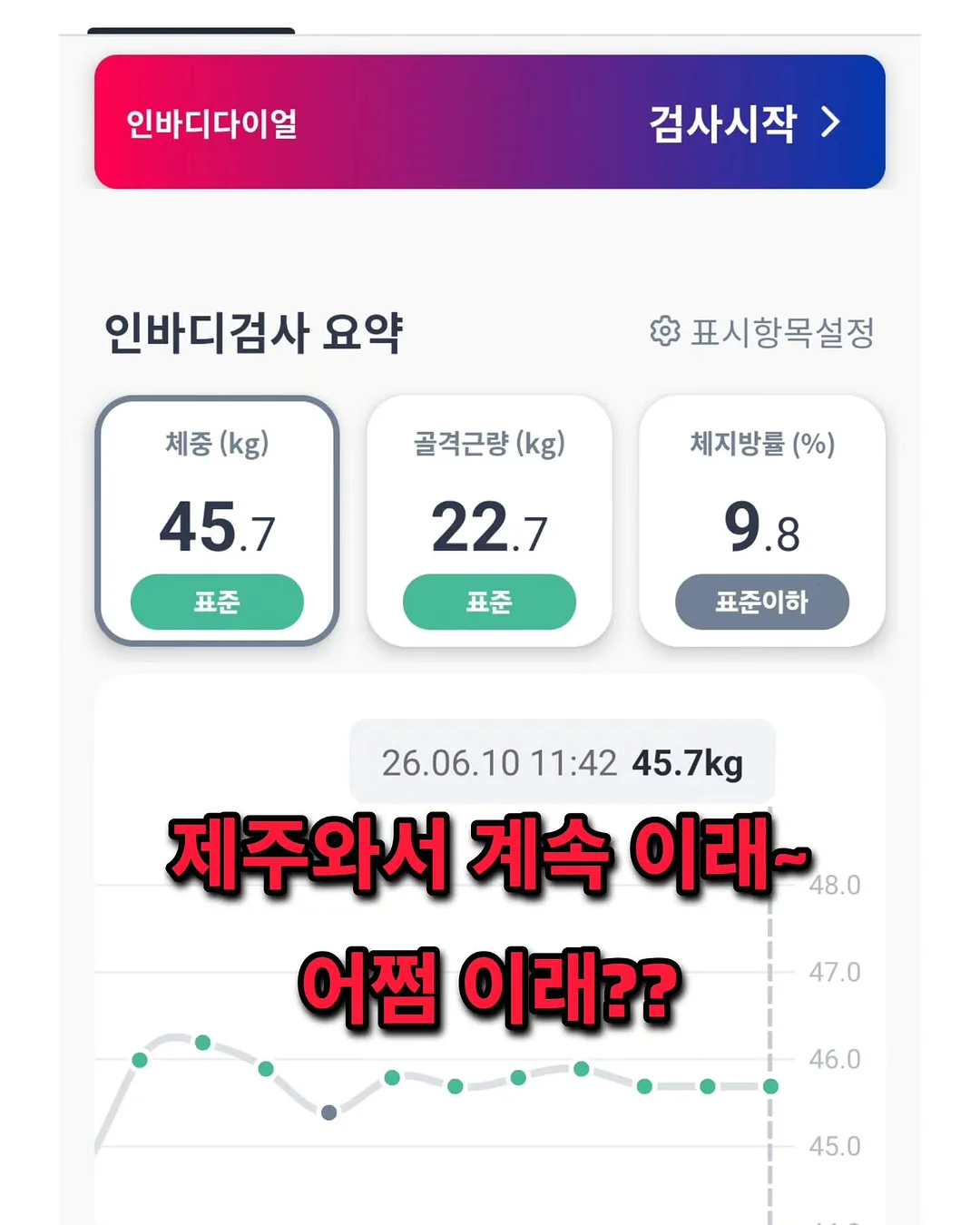 시멘트 담요 2
