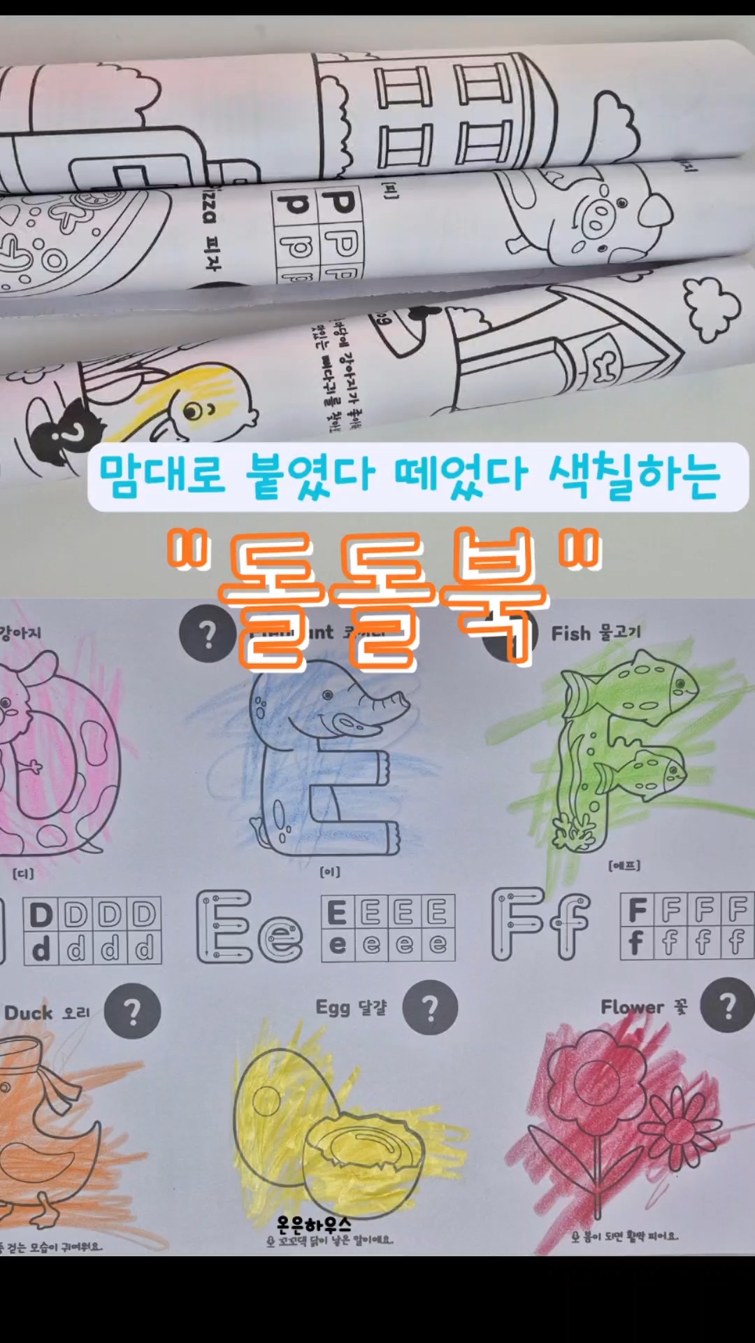 봄날의 보넷