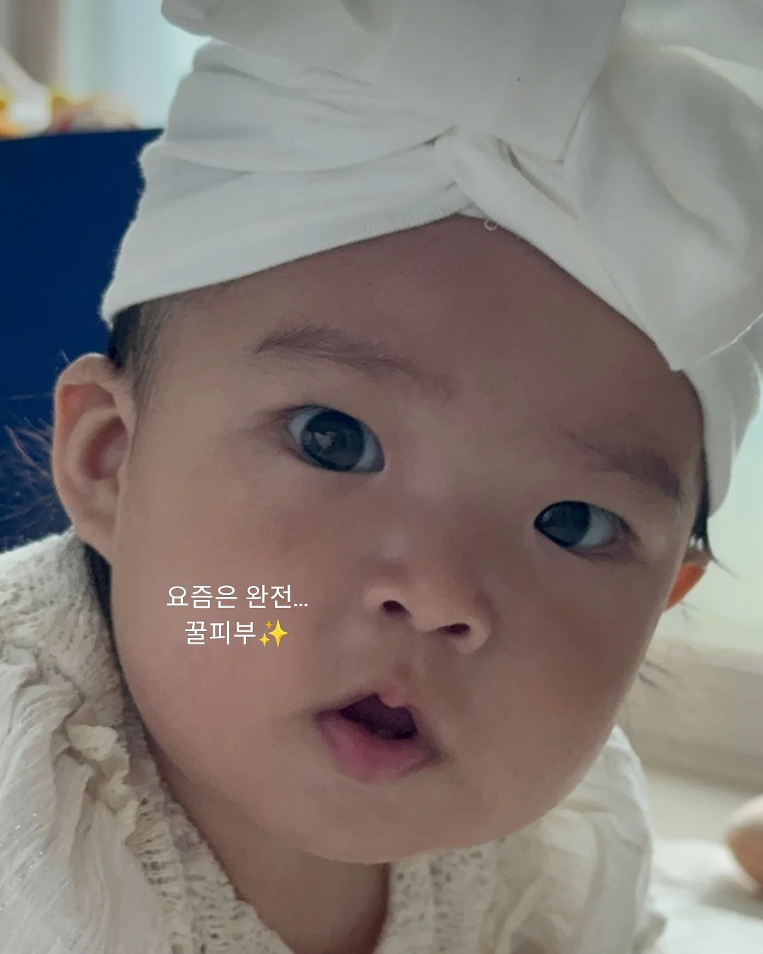 황태s 5