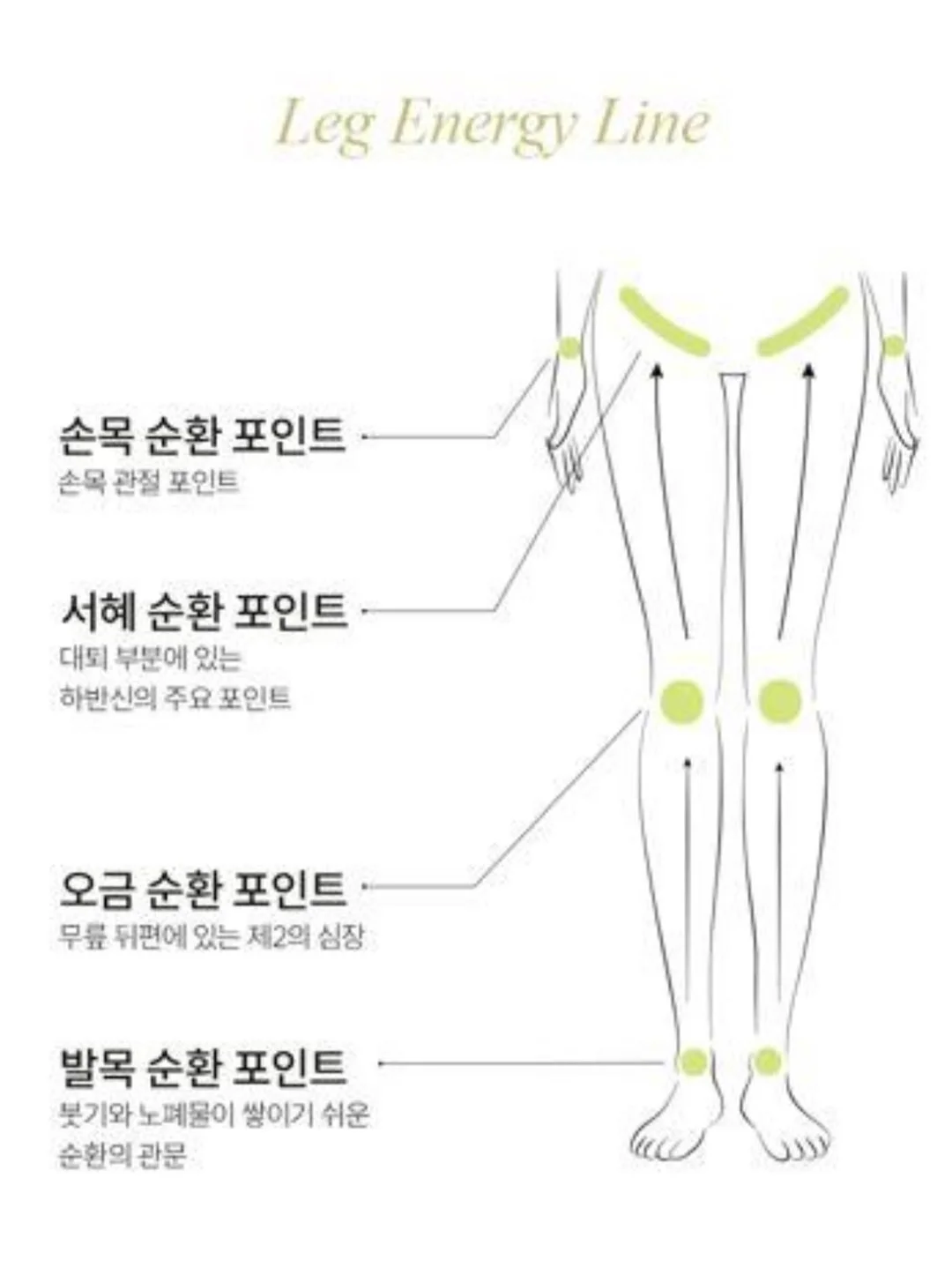 톰보이룩 13