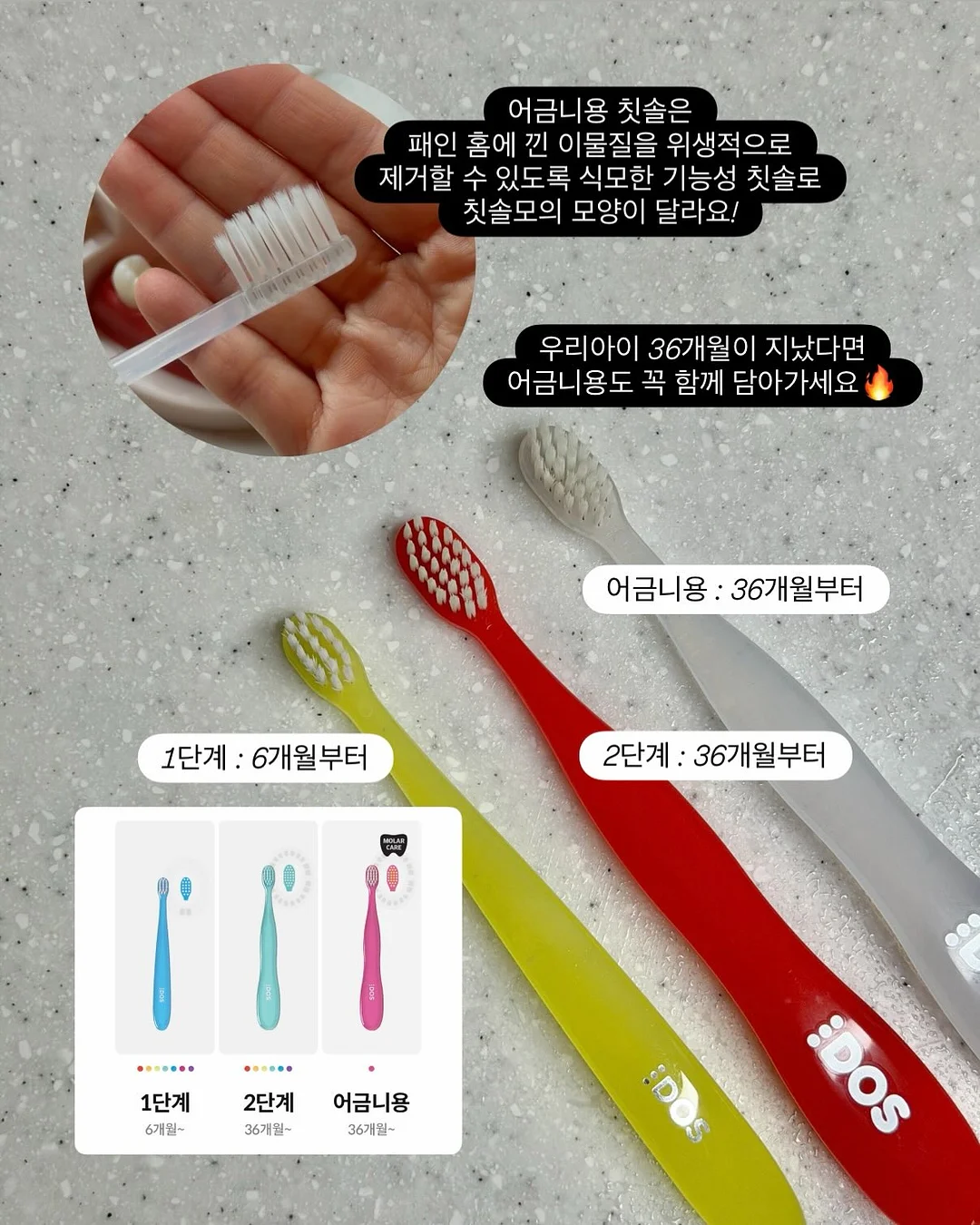 곱창밴드와 티코스터 8