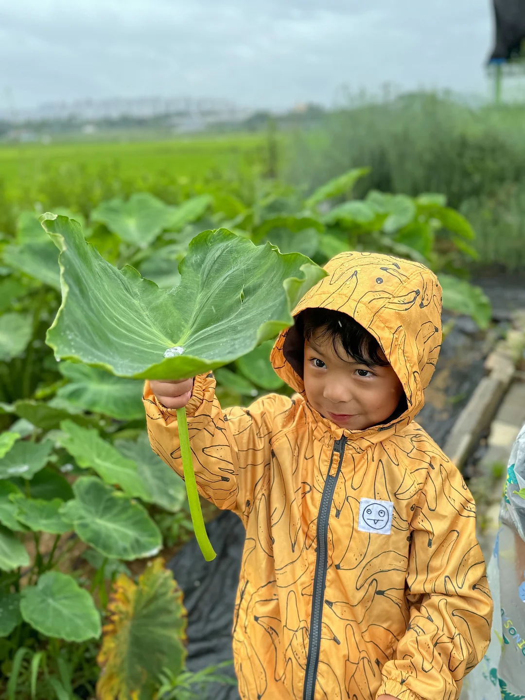 렘브란트에서 고야까지 도슨트 프로그램 8