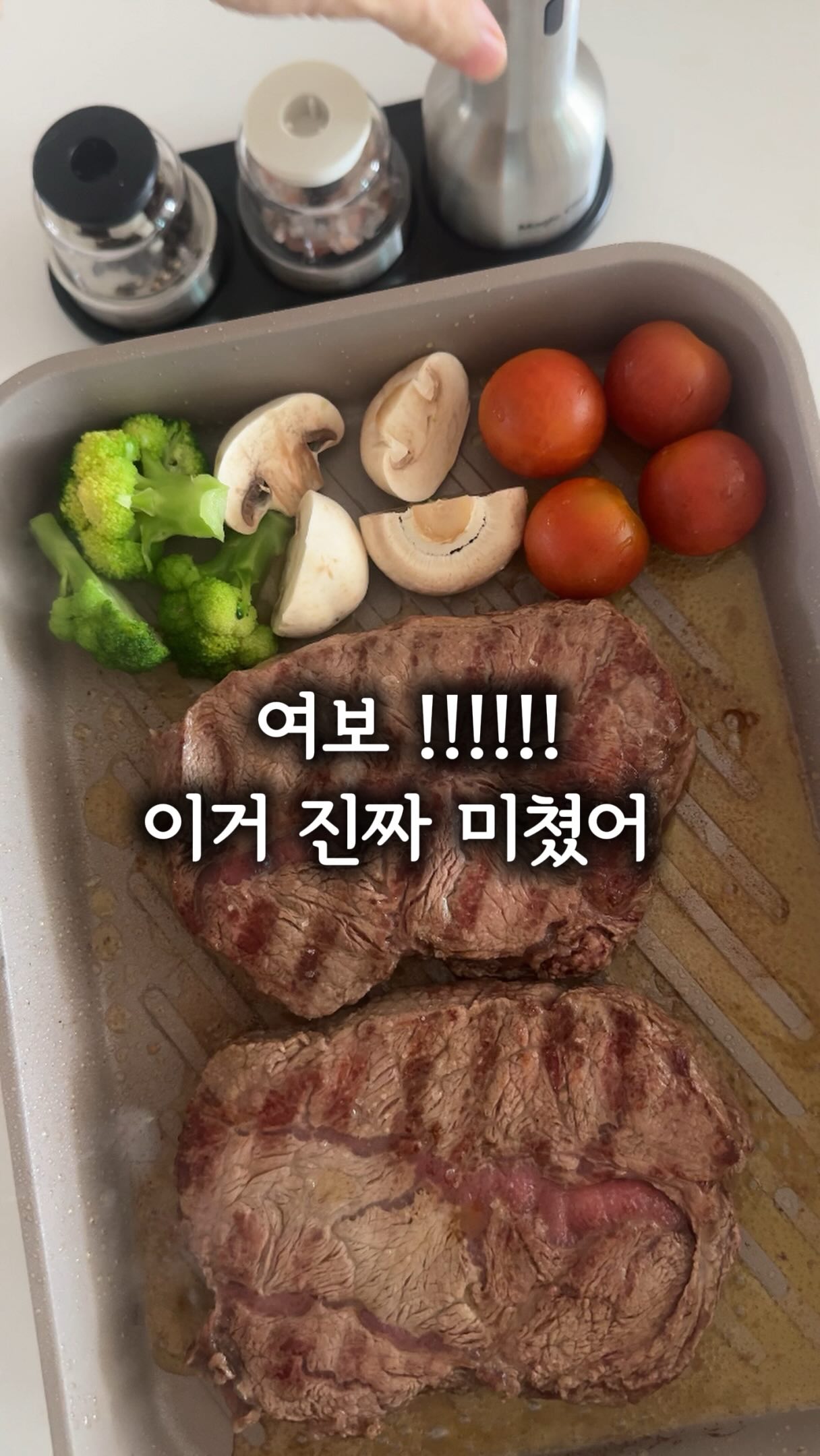 봄 신상제품