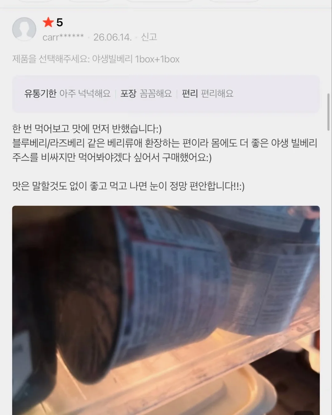 인도 고무나무 13
