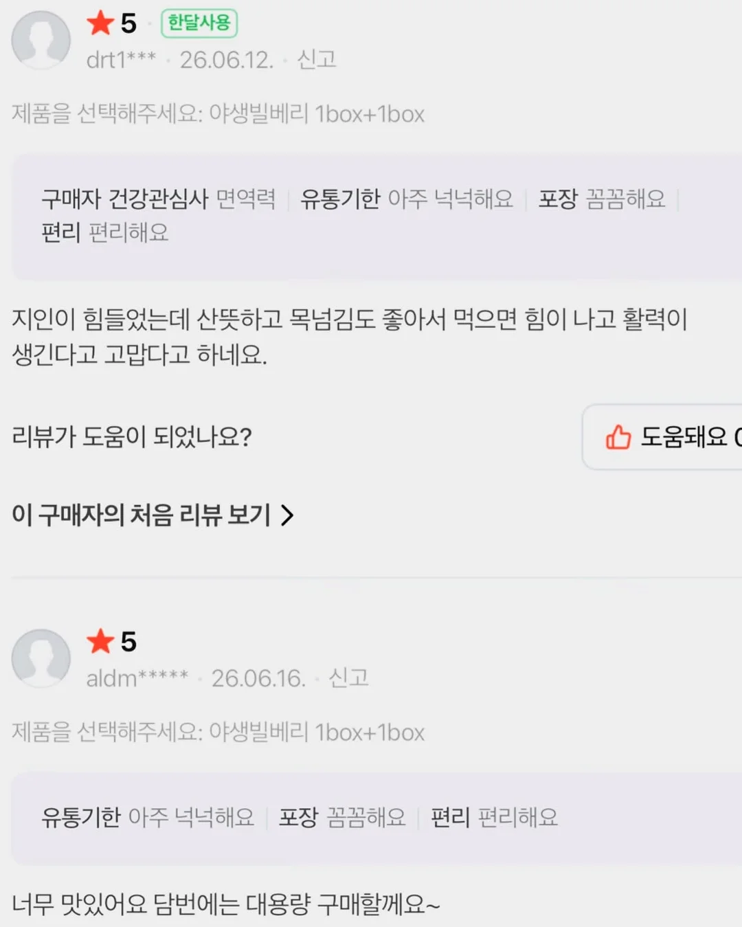인도 고무나무 14