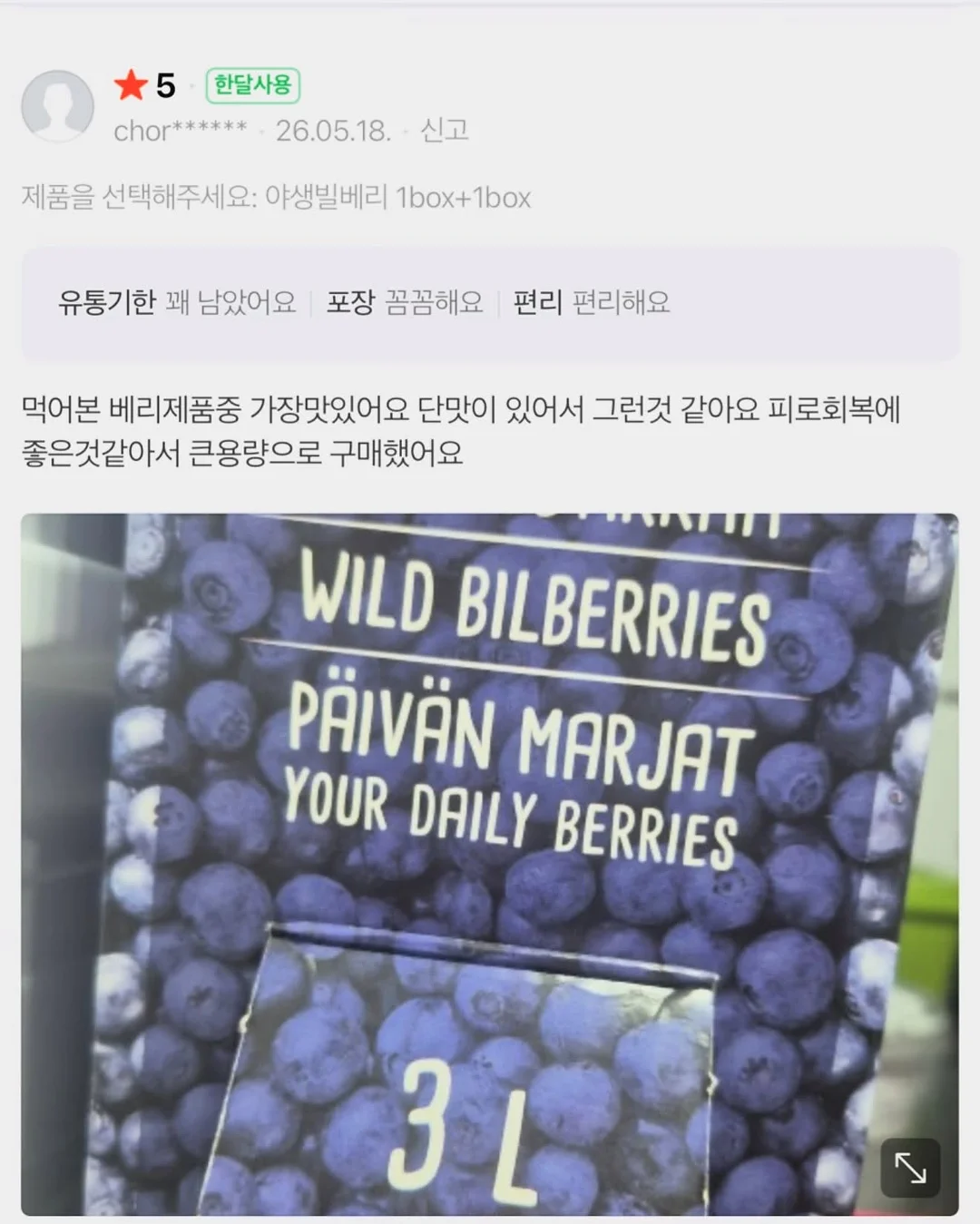 인도 고무나무 15