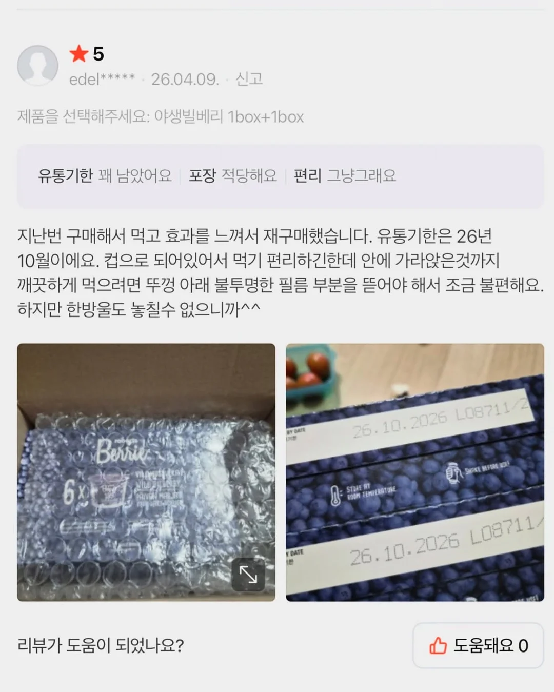 인도 고무나무 18